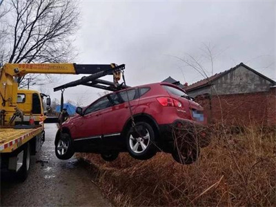 隆子楚雄道路救援